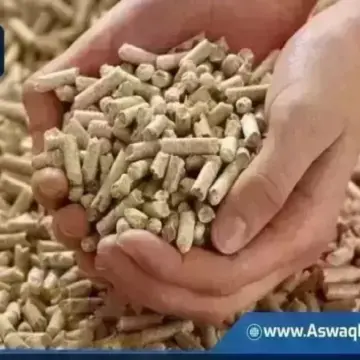 أسعار الأعلاف اليوم الخميس لدى التاجر.. طن العلف وصل لكام | أسعار السلع